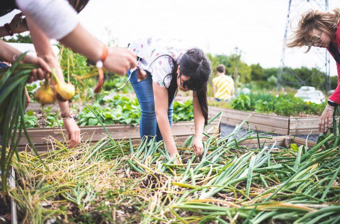 coworkcafé Pureplaces