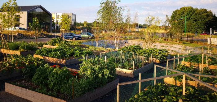 Pureplaces_concept_coworking_coliving