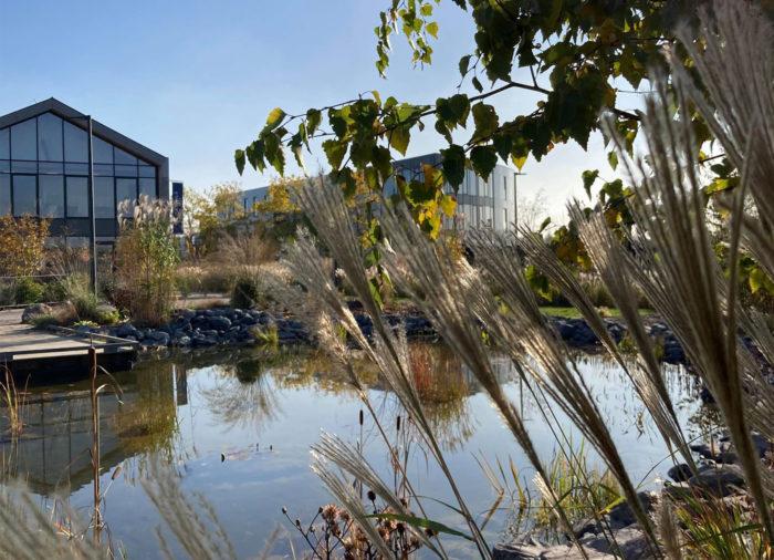 Pureplaces_coworking